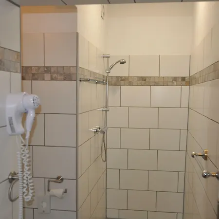 Parkhotel 3* شفيدت
