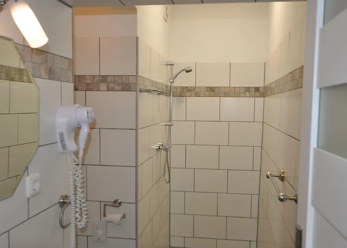 Parkhotel 3* شفيدت